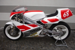 Yamaha TZ 250 89  Damiano