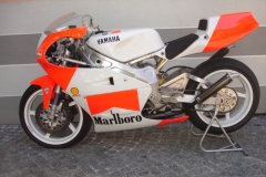 Yamaha TZ 250 94 Giacomo